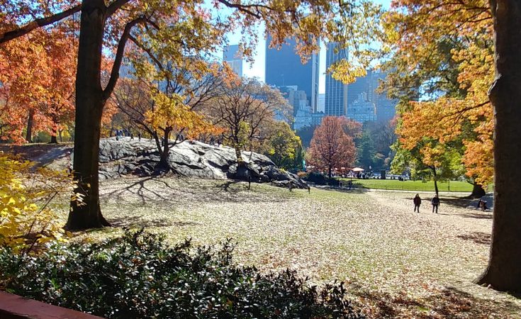 Central Park In November